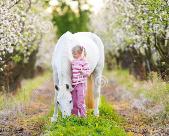 Living Joyfully: Follow your White Horse